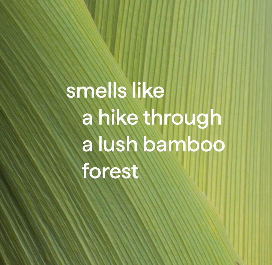 antibakteriální univerzální čisticí prostředek