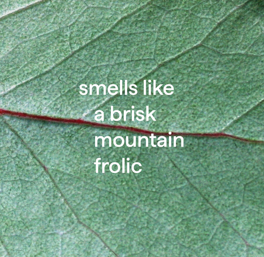 denní doplňování sprchového střiku