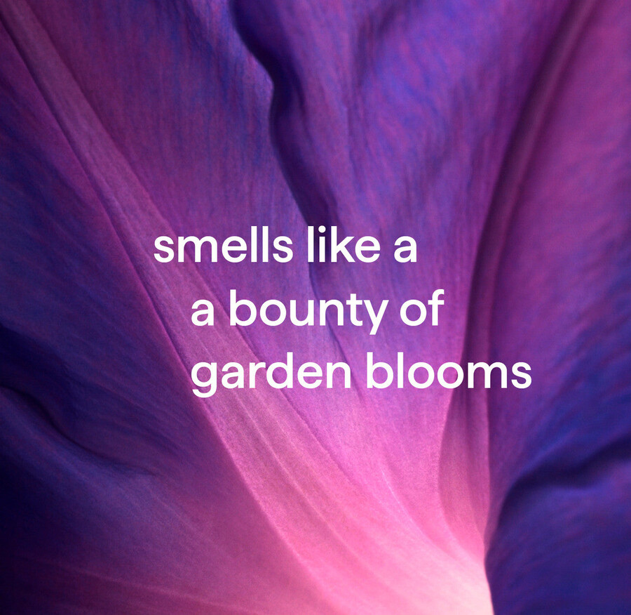 startovací sada pěnového mytí rukou